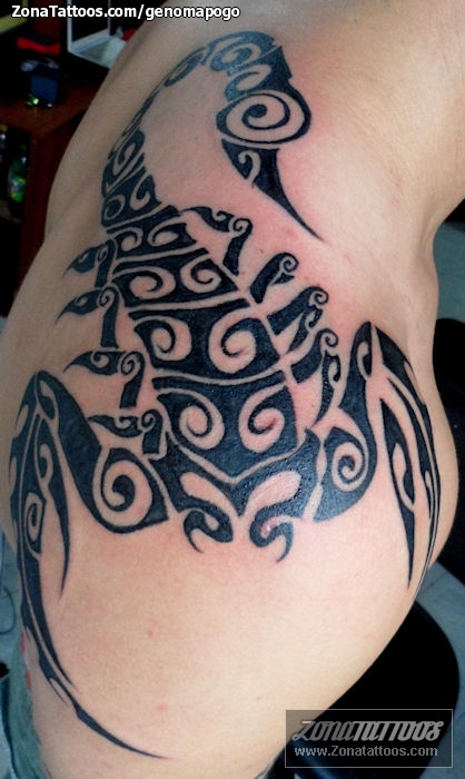 cute scorpio tattoo