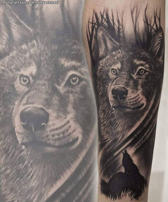 Tatuaje de Lobos, Animales