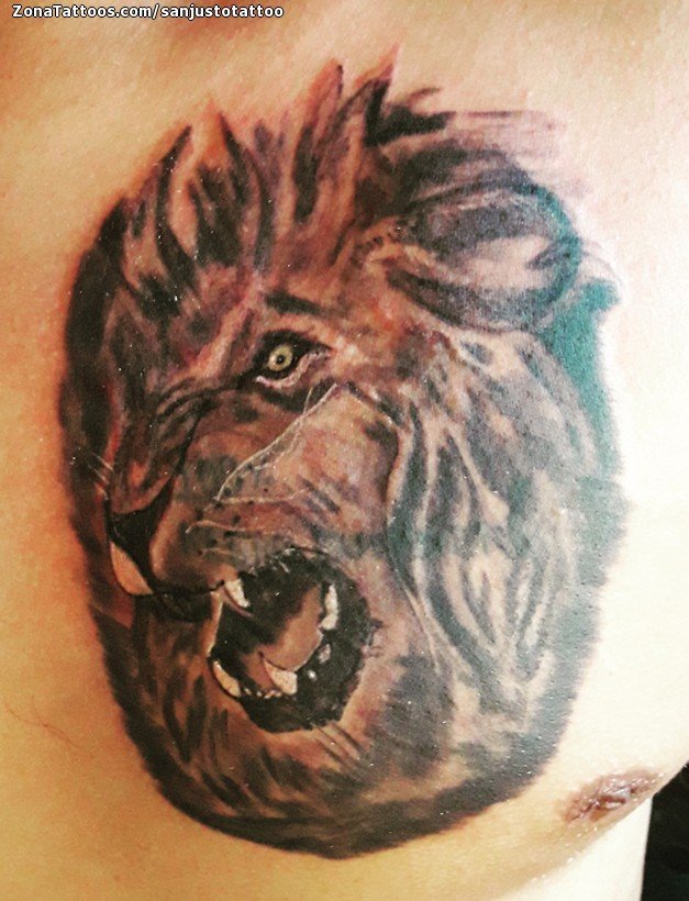 Tatuaje de Leones, Pecho, Animales