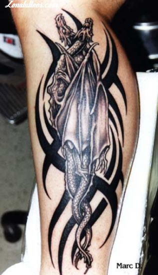 tribal celtic dragon tattoo designs